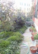 Il giardino un po' in disordine di questi giorni